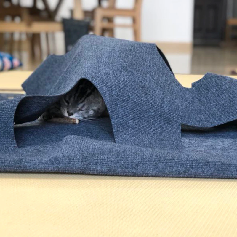 tapis gris chat dort
