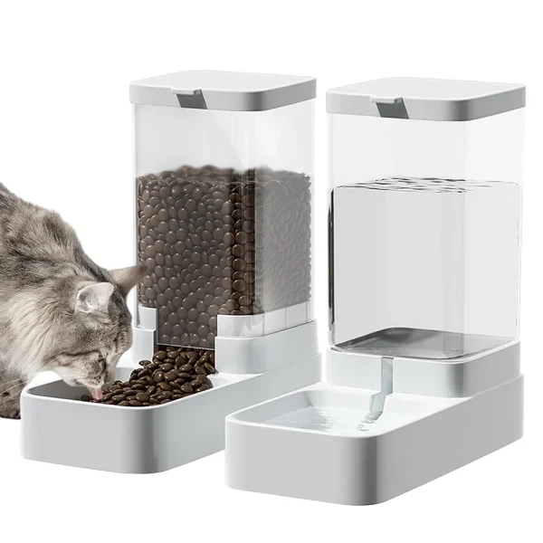 domestic-cat-simple-image